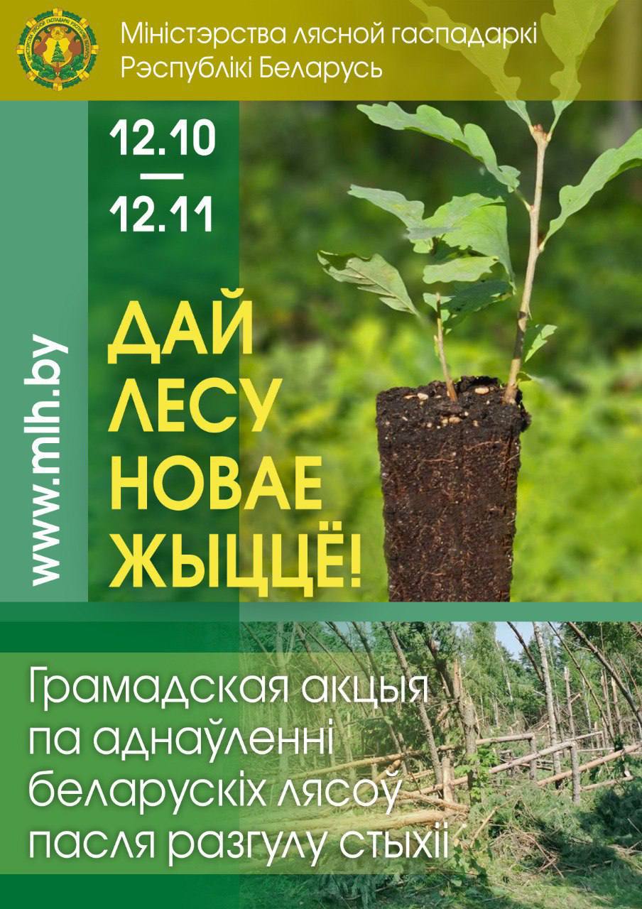 ДАЙ ЛЕСУ НОВАЕ ЖЫЦЦЕ
