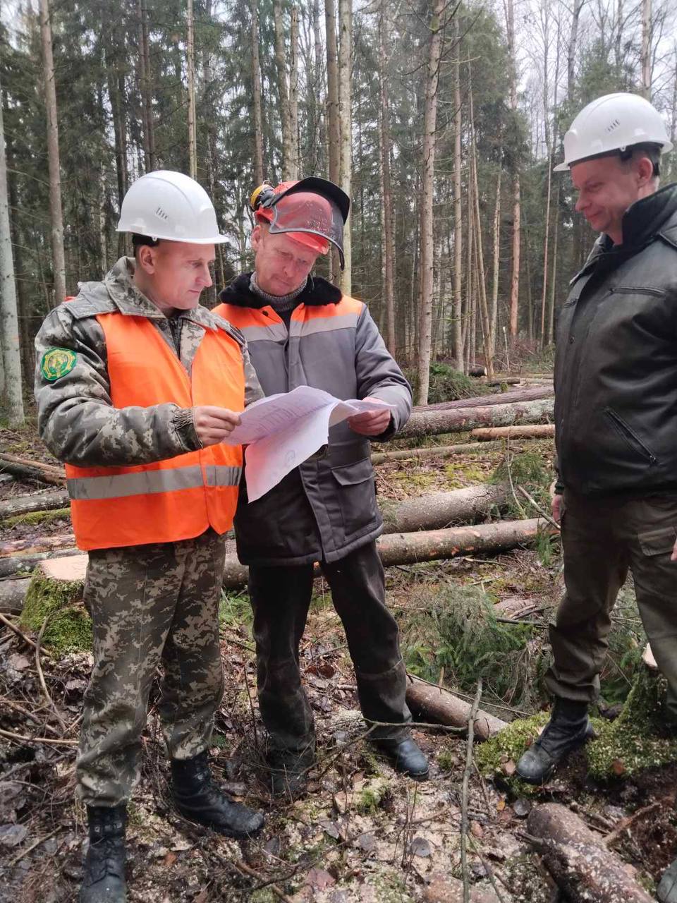 Неделя охраны труда и нулевого травматизма проходит в лесном хозяйстве !!