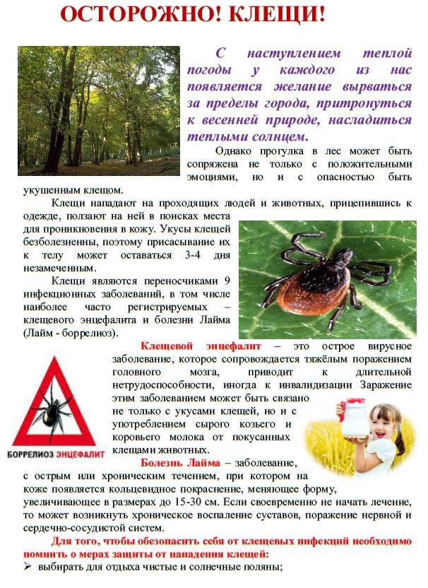 Острожно клещи!