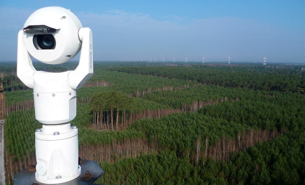 Как в Беларуси справляются с лесными пожарами в жару